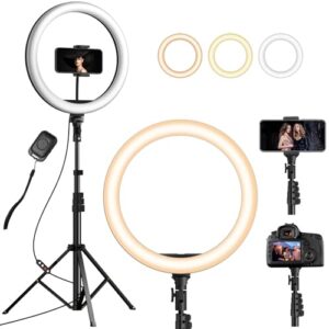 Recensione YOHOOLYO Ring Light Professional: Prezzo e Opinioni